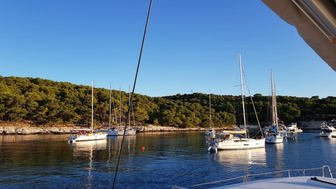 Yachts lying to mooring buoys in a narrow cove lined with Aleppo pines, seen from the bow of another boat